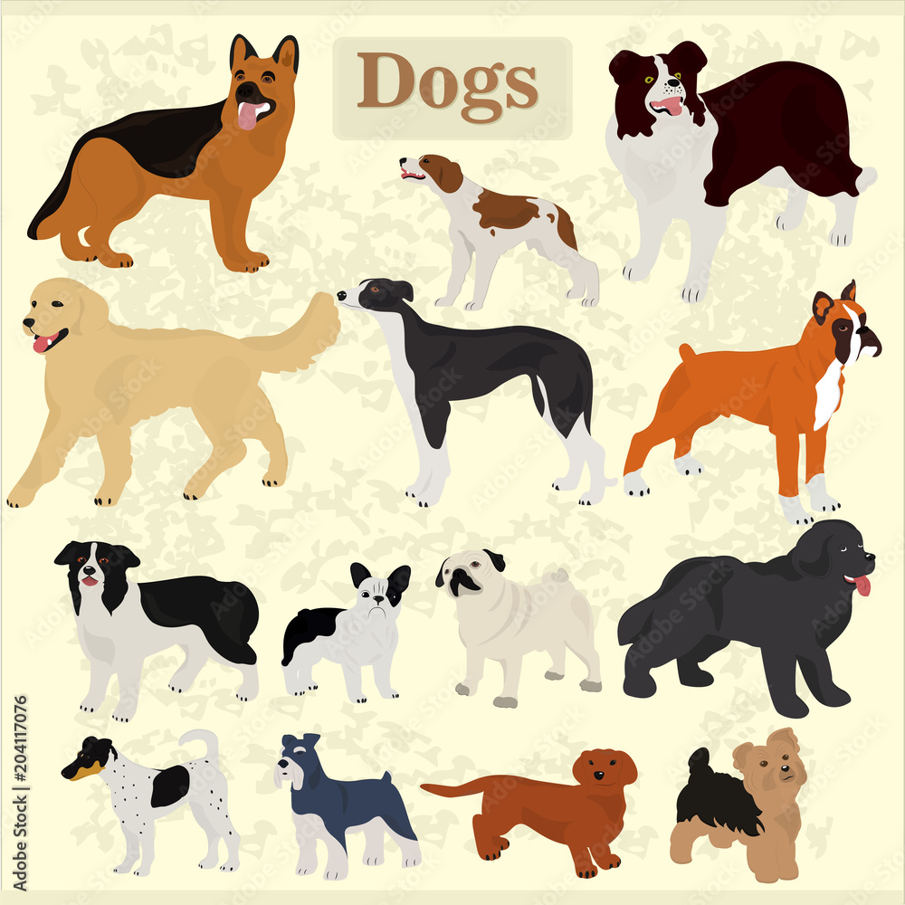 Set of dogs of different breeds on a light background