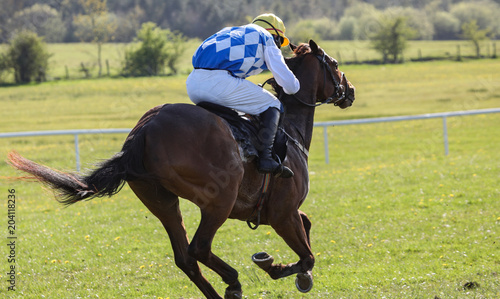 Thoroughbred race horse and jockey racing towards the finish line   © Gabriel Cassan