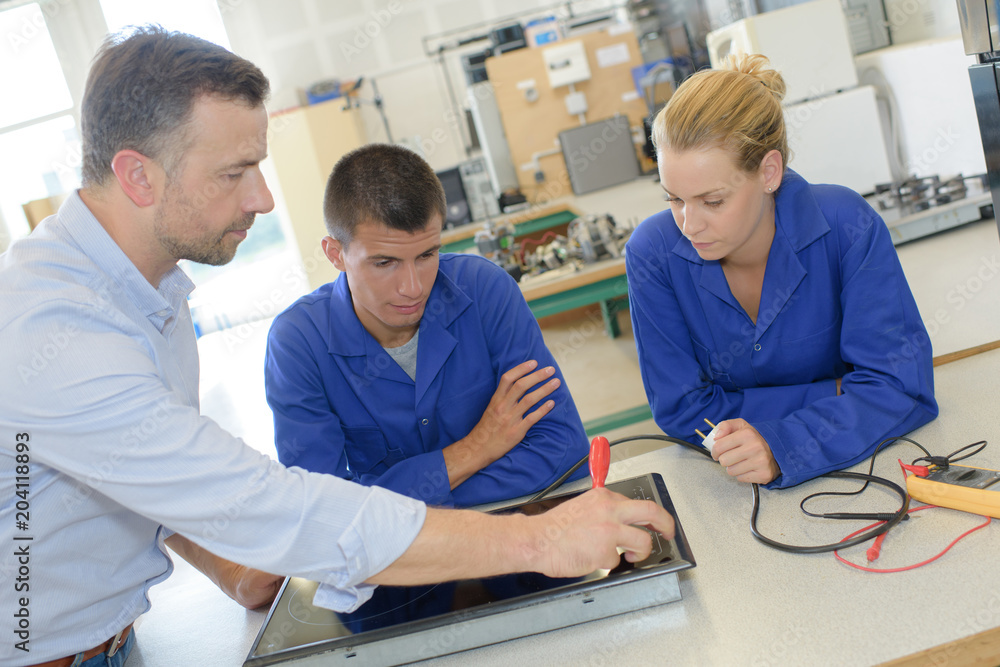 Fototapeta premium Students looking at electric hob