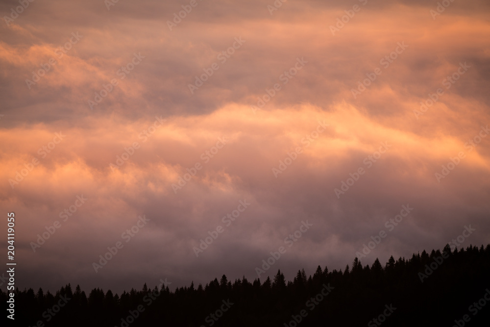 A beautiful sea of clouds over the forest, everything was gold in the color of the sunrise, you can barely see the trees through the clouds - obrazy, fototapety, plakaty 