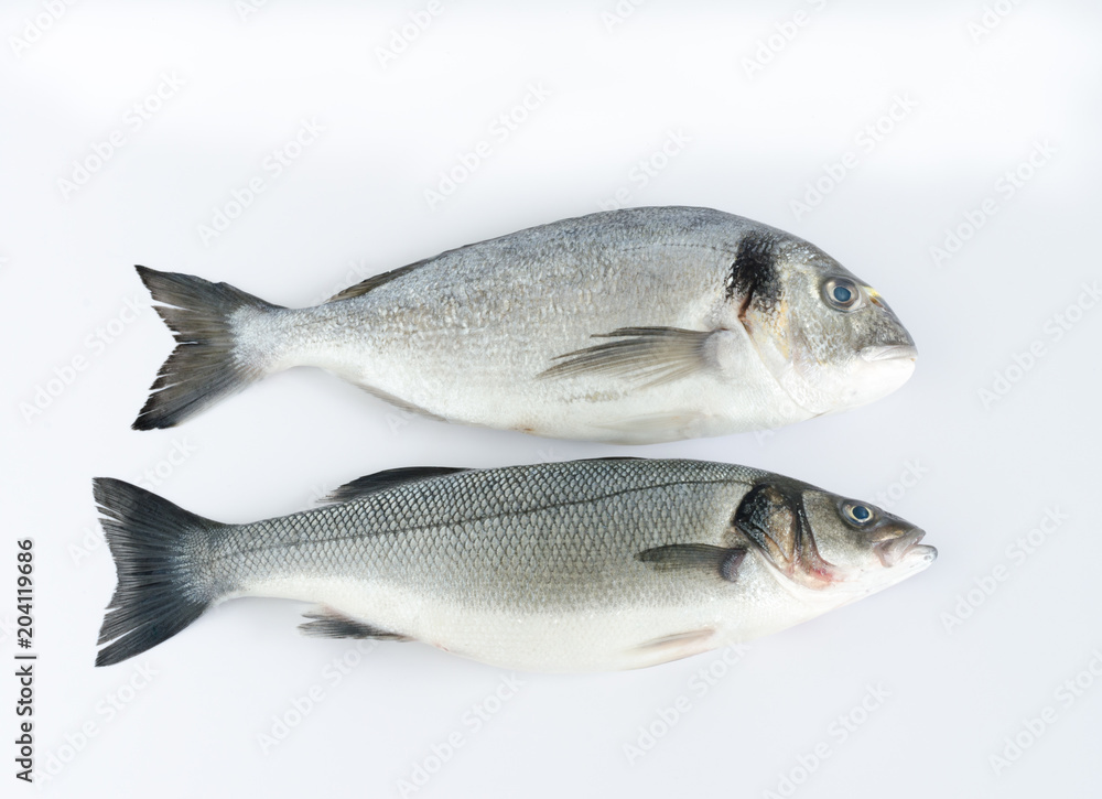 Two fresh fish on white background. Top view. Two fresh fish on white background. Top view.