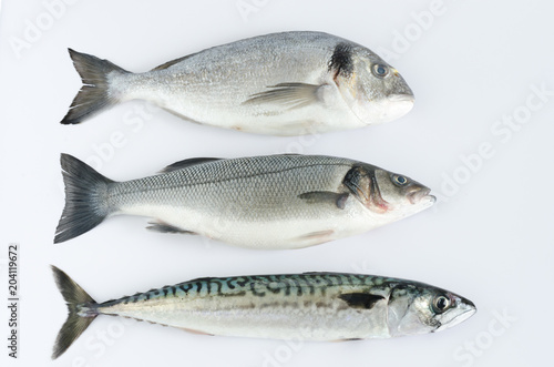 Three fresh fish on white background.