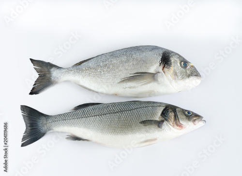 Two fresh fish on white background. Top view.