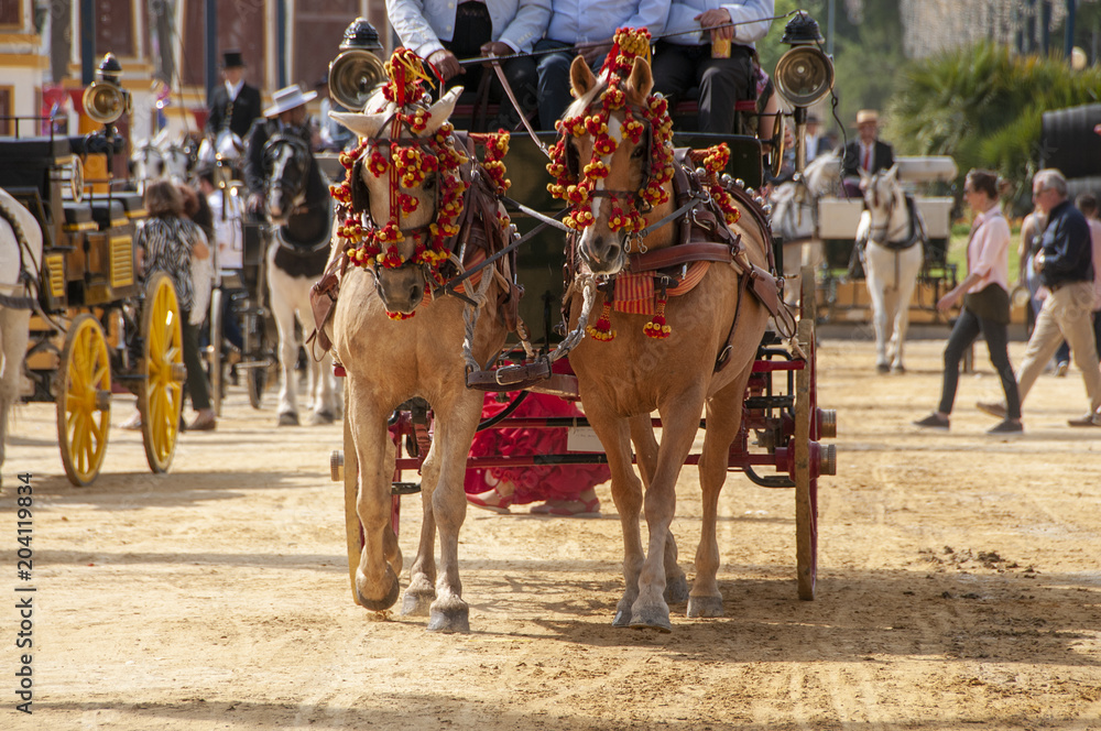 Naklejka premium Caballos en la Feria de Jerez de la Frontera