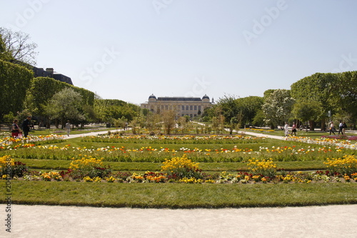 Pelouse du jardin des Plantes à Paris
