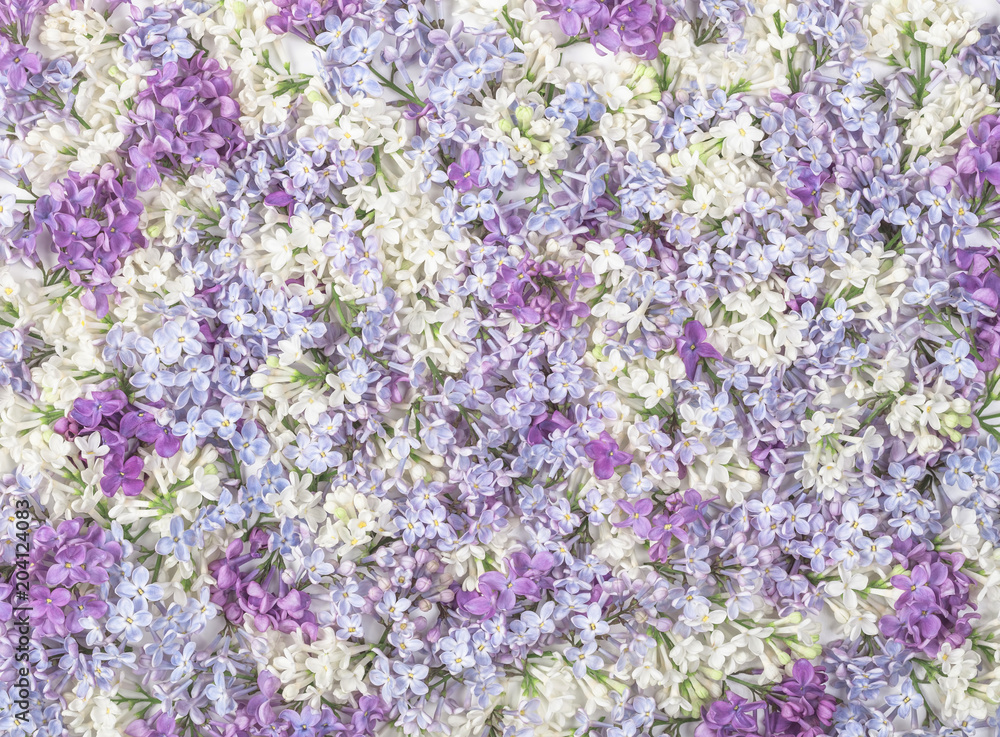 Lilac flowers background Lilac flowers background