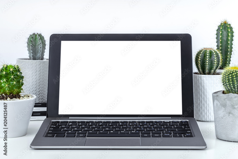 Fototapeta premium White empty desk with open laptop and many cactuses
