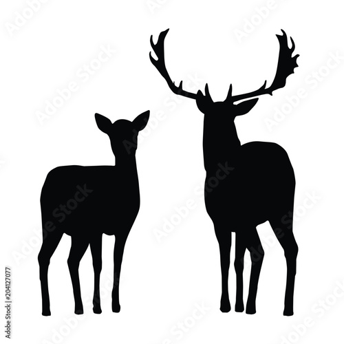 Slika na platnu Vector silhouettes of deer and hind, isolated