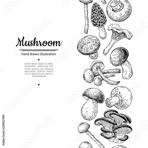 Mushroom drawing vector seamlees border. Isolated   food frame s