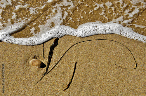 Beach Abstract with sand, seaweed and wave foam photo