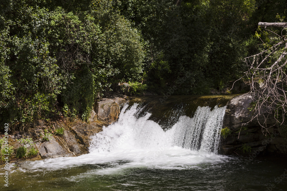 panoramic view of a cascade river stream in a forest. Sunny weather. Nature concept panoramic view of a cascade river stream in a forest. Sunny weather. Nature concept