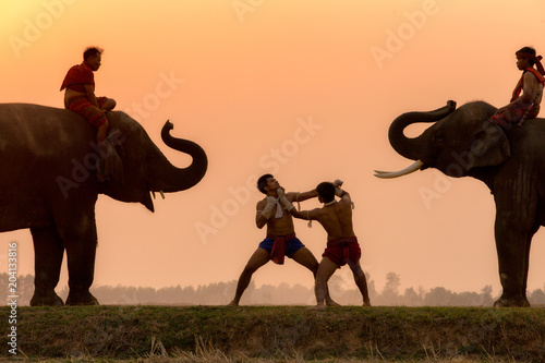 Photography Silhouette fighter tradition Thai boxing or Muay-Thai outdoor battle with mahout and elephants, Ancient fighter on the world sport of Thai and around
