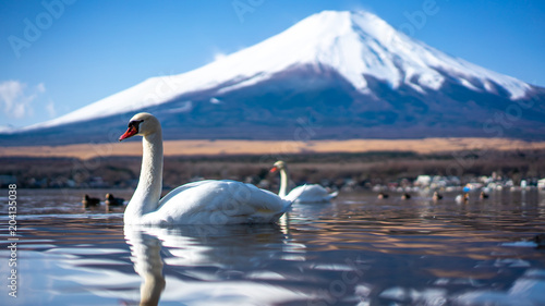 Swan Lake And Fuji Mount Background  © Aris Suwanmalee