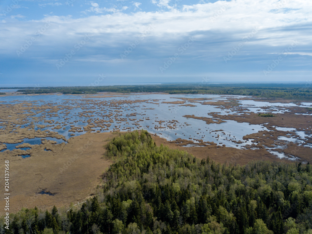 drone image. aerial view of rural area with fields and forests and swamp lake with blue water