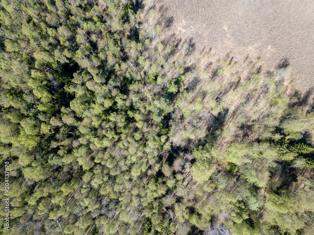 drone image. aerial view of rural area with fields and forests