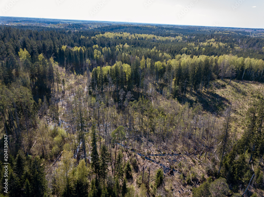 drone image. aerial view of rural area with fields and forests