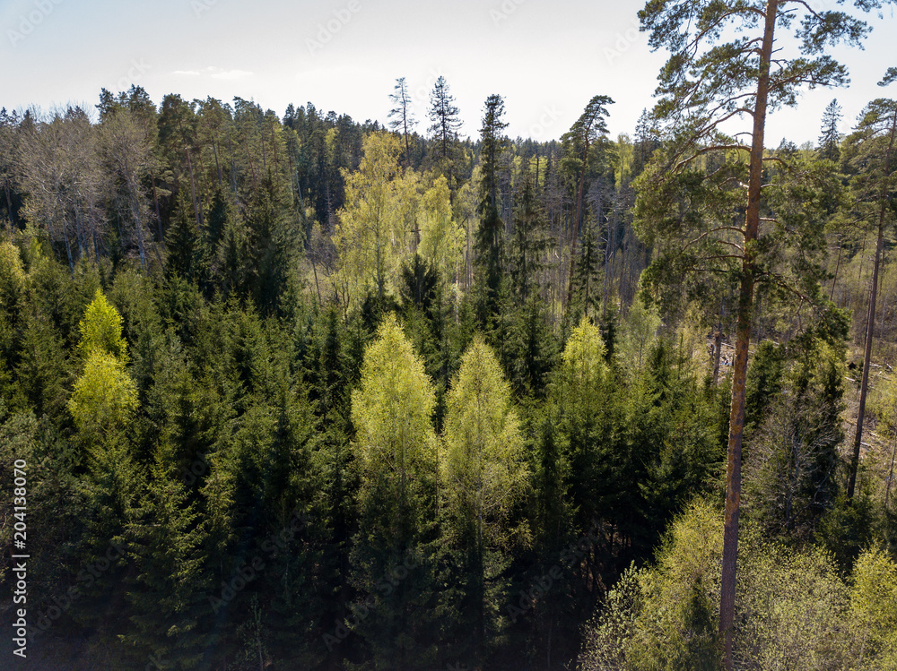 drone image. aerial view of rural area with fields and forests drone image. aerial view of rural area with fields and forests