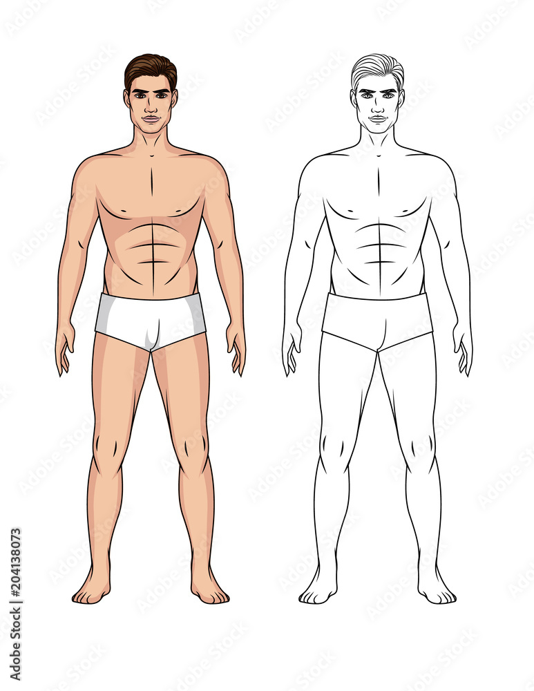 Vector set of cartoon and line art illustration of a handsome fit guy isolated from background. Paper doll of a man in front at full length Vector set of cartoon and line art illustration of a handsome fit guy isolated from background. Paper doll of a man in front at full length