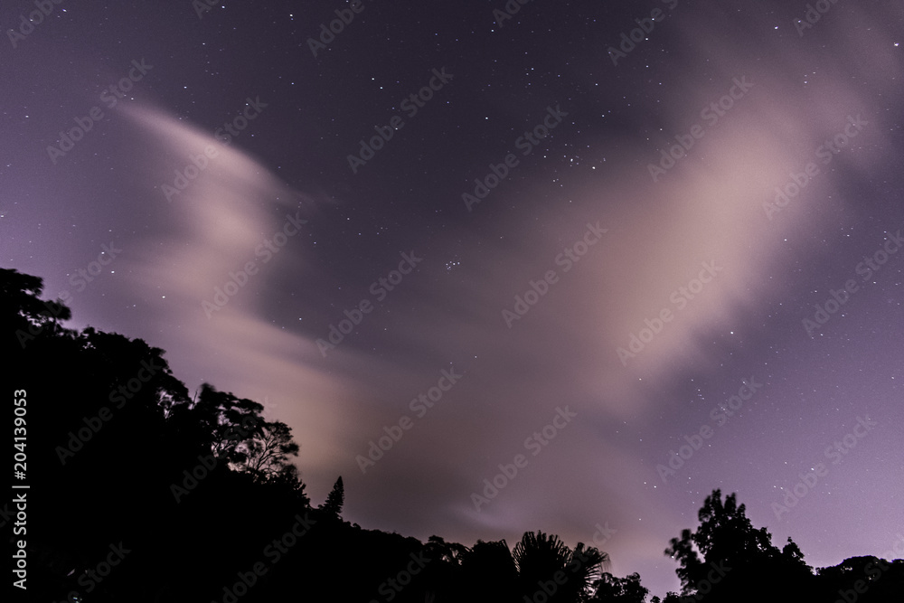 Starry sky with clouds and trees
