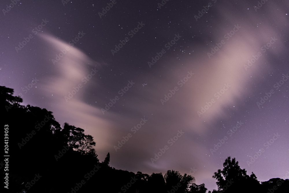 Starry sky with clouds and trees Starry sky with clouds and trees
