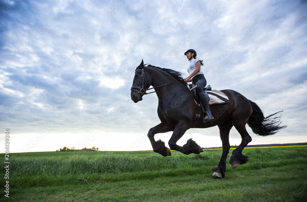 Beautiful woman riding a black friesian horse.