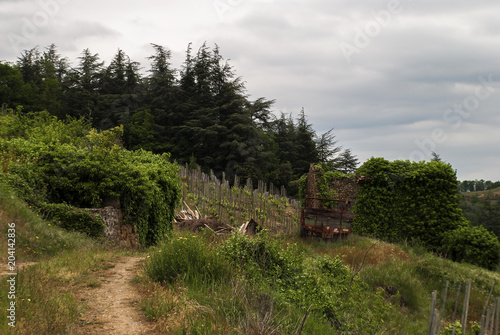 A la Campagne.
