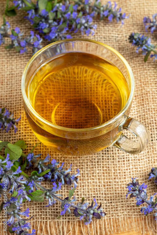 A cup of blue bugle tea with fresh plant A cup of blue bugle tea with fresh plant