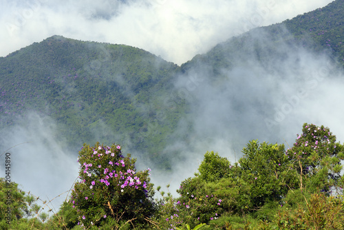 Low clouds covering the hill