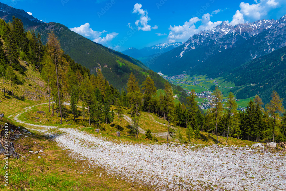 Waldweg durch Lärchenwald im Stubaital, Tirol