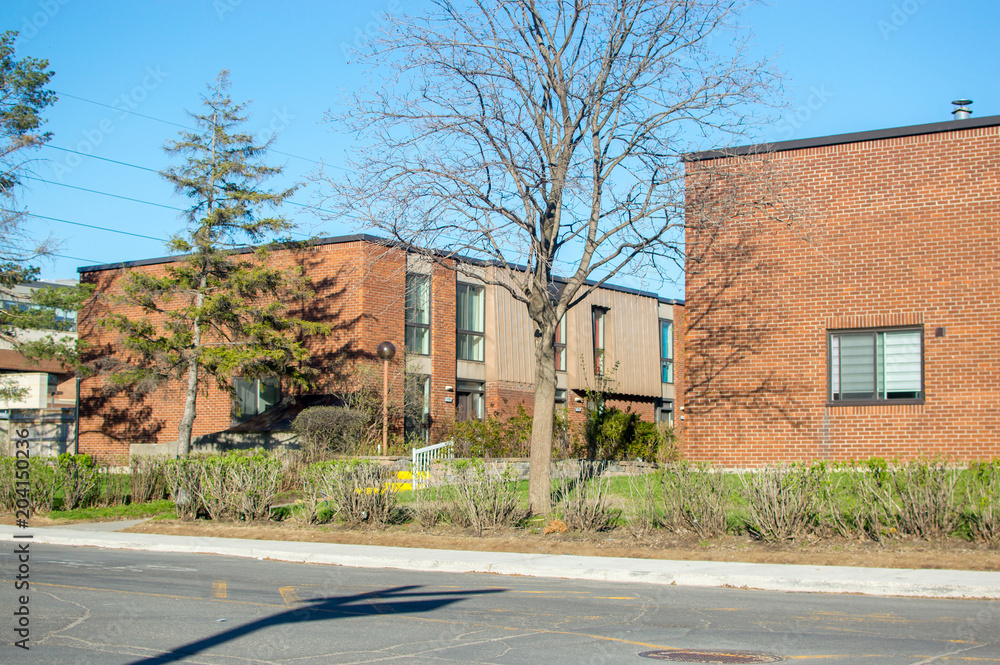 House exterior with beautiful curb appeal. Green lawn with brown sawdust and decorative trees.