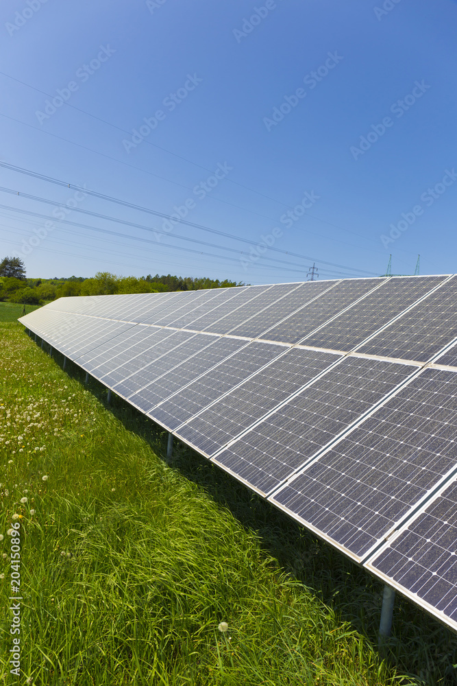Dusty Pollen Solar Power Station on the spring Meadow with flowering Dandelions Dusty Pollen Solar Power Station on the spring Meadow with flowering Dandelions