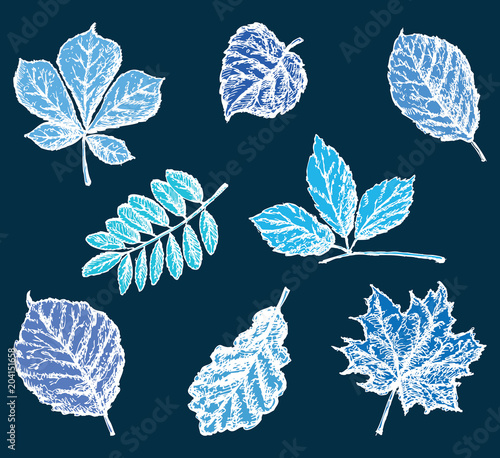 Set of the decorative tree leaves