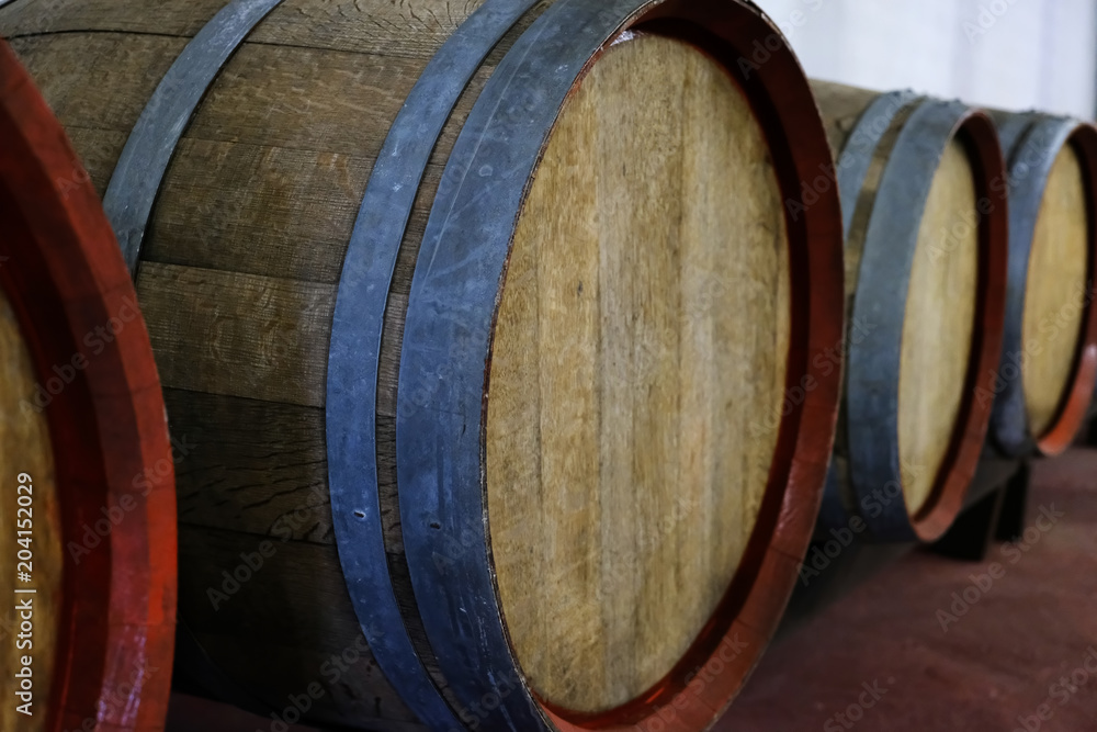 Barrels of wine at the winery farm