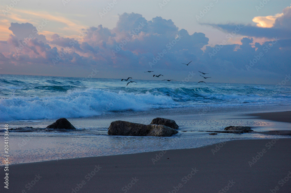 Fototapeta premium Morning Flight