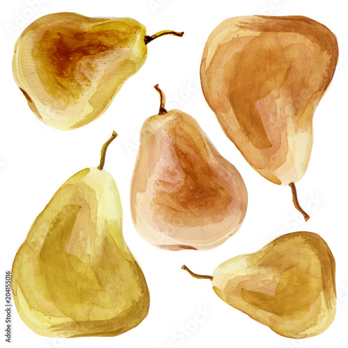 Watercolor isolated illustration of juicy pear colorful set 