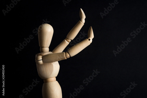 wooden dummy rearing the light