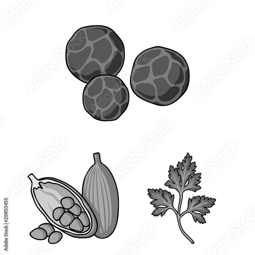 Herb and spices monochrome icons in set collection for design.Different kinds of seasonings vector symbol stock web illustration.