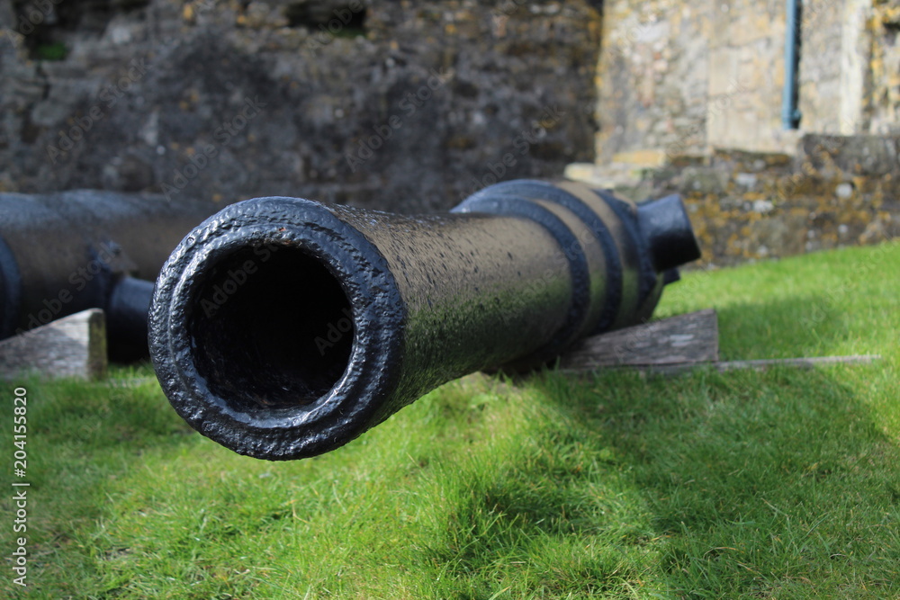 Charles Fort Ireland Canon