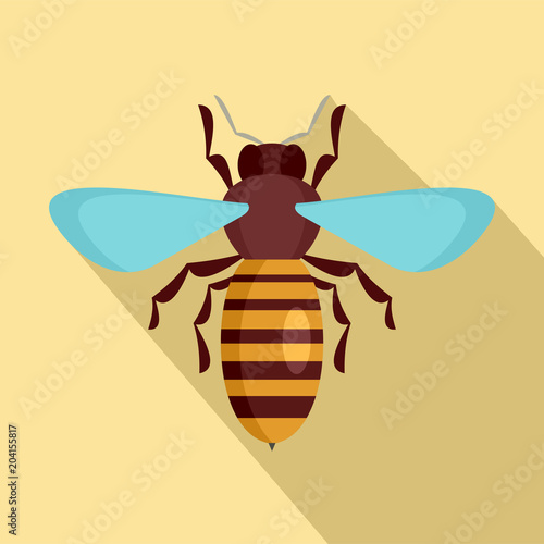 Bee insect icon. Flat illustration of bee insect vector icon for web design photo