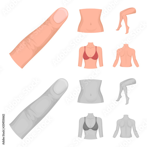 Finger, female feet, female, bust. Part of the body set collection icons in cartoon,monochrome style vector symbol stock illustration web.