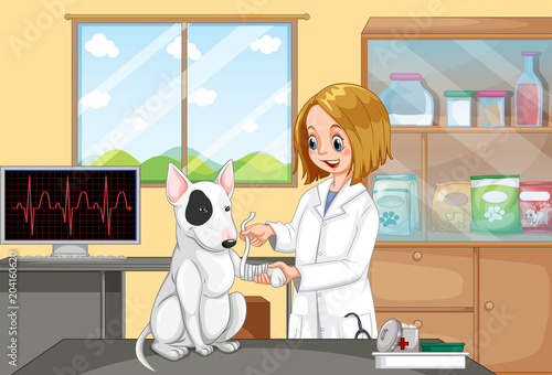 Veterinarian Doctor Helping a Dog