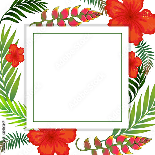 Beautiful Tropical Summer Flower Frame