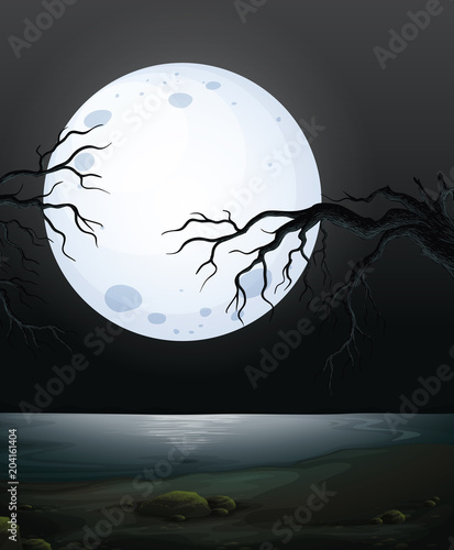 A Scary Dark Night Scene