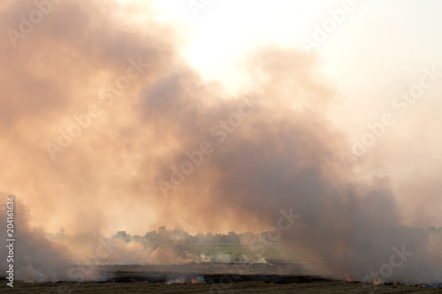 A lot of smoke from burning stubble rice straw.