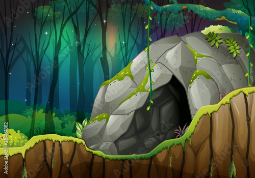 Stone Cave in the Dark Forest