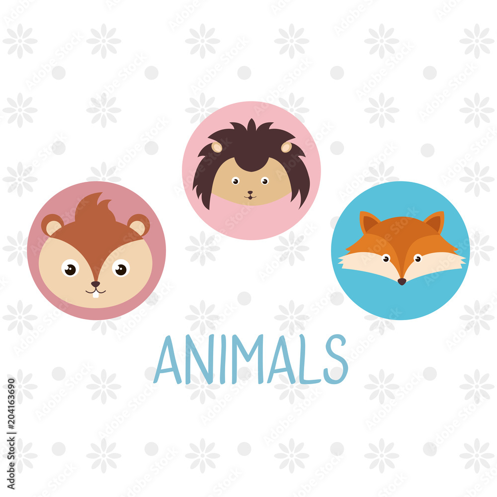 cute group of animals heads characters vector illustration design cute group of animals heads characters vector illustration design