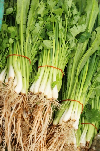 Spring onion and coriander in the market