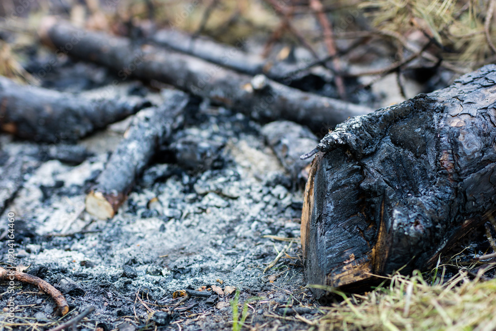 A fired fireplace by the lake. Burned pieces of wood and ash in a place for smoking fires. A fired fireplace by the lake. Burned pieces of wood and ash in a place for smoking fires.