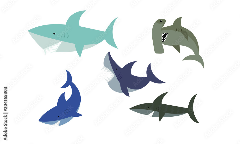 cute sharks cute sharks
