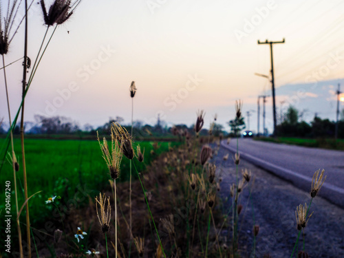 Beautiful natural landscape in the morning